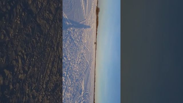 Катушки смотреть онлайн