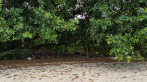 ?➊ Краби, Таиланд 2022 Пляж Туб Каек (Tubkaek Beach) CRABI