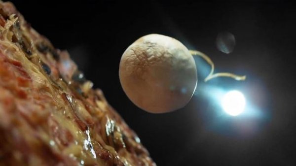 Cooking Food Background Music No Copyright – Fun Jazz