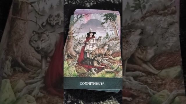 Raven's Wand Oracle смотреть онлайн