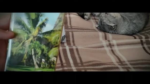 How make telephone case/Как сделать чехол для телефона/Maria Regards смотреть онлайн