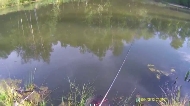 Рыбалка на дачном пруду смотреть онлайн