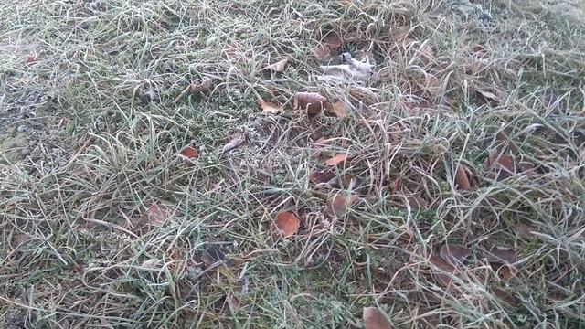 Погода на юге в декабре+1.Жизнь у моря зимой. смотреть онлайн