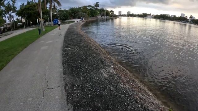 STREETFISHING MIAMI. РЫБАЛКА в МАЙАМИ. ТАКОГО Я НЕ ОЖИДАЛ. BassProShop. ЛИЦЕНЗИЯ ДЛЯ РЫБАЛКИ ФЛОРИД