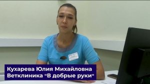 Течка у кошки: Что делать? Рассказывает ветеринар