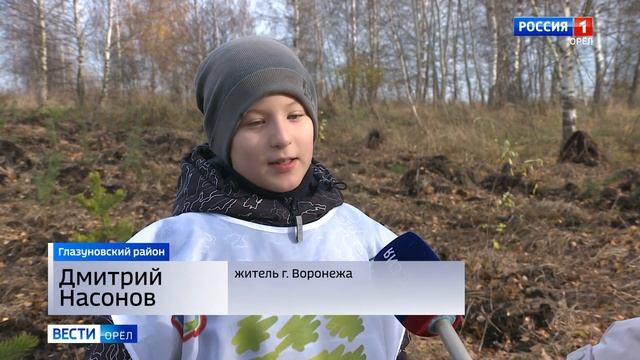 На истоке Оки высадили 13,5 тысячи саженцев сосен