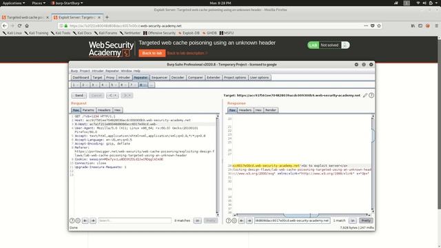 Targeted web cache poisoning using an unknown header смотреть онлайн