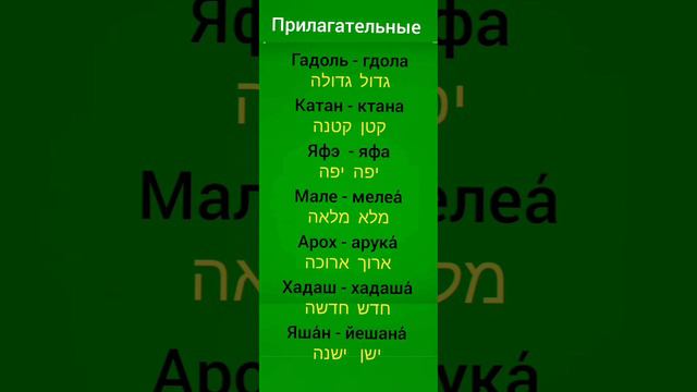105. Род в иврите. II ч. женский род. Иврит для начинающих и метапелет. смотреть онлайн
