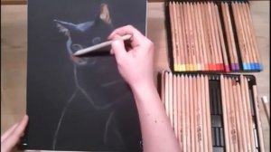 КАК нарисовать СИМПАТИЧНОГО Чёрного КОТА в технике пастель