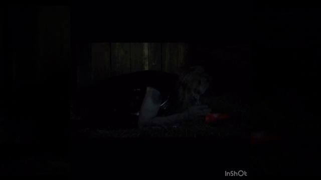 Нечто под нами. смотреть онлайн