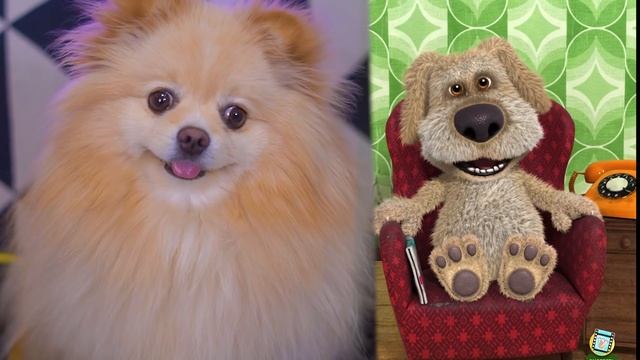 ГОВОРЮ С БЕНОМ | ГОВОРЯЩИЙ БЕН МОЙ ПАРЕНЬ смотреть онлайн