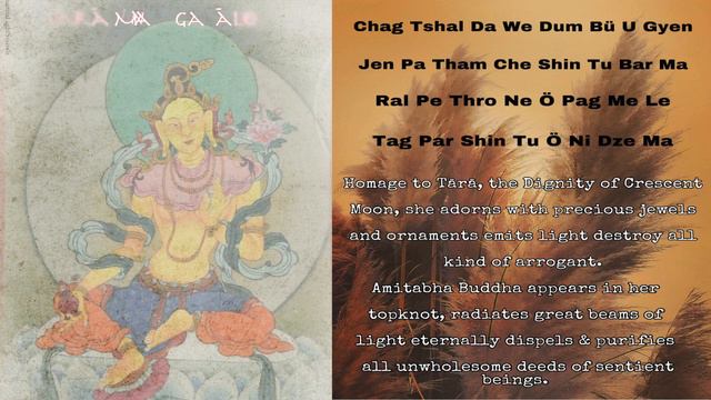 The Tara Praises (HD Photos)