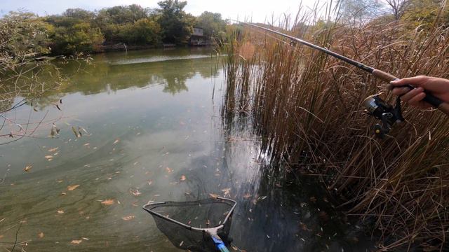 рыбалка 8 октября Крым - часть 3 смотреть онлайн