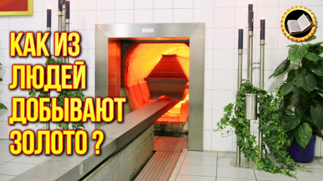 Как из людей добывают золото? Крематорий в Цюрихе смотреть онлайн