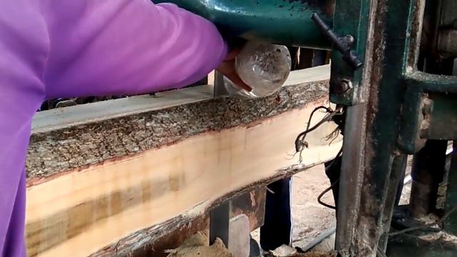 Sawmill, Kayu Akasia