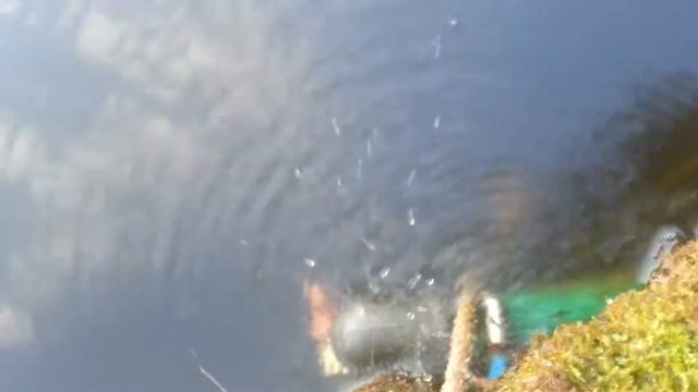 Вода нормально урчит смотреть онлайн