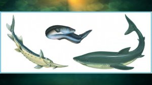 "Как животные передвигаются", Окружающий мир 3 класс ч.1, с.112-114, Планета знаний.