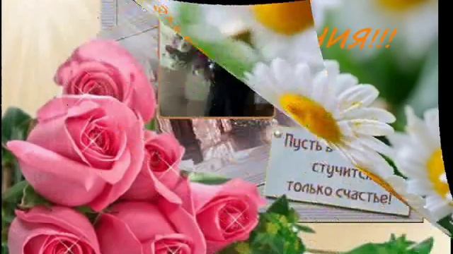 ПОЗДРАВЛЯЕМ! КОДАГЫЙ! смотреть онлайн