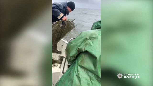 Поліцейські викрили трьох рибалок браконьєрів смотреть онлайн