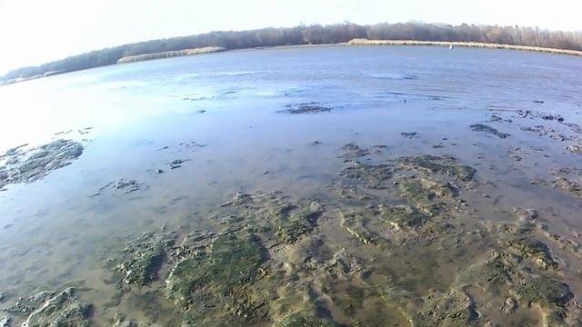 Сдуло Дон. Коп на Дону с братом. Серебро.silver on the beach. смотреть онлайн