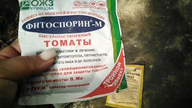 Первая подкормка рассады после высадки смотреть онлайн