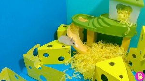 ХОМЯЧКИ в ЛАБИРИНТЕ из СЫРА** ВИКИ ЛАКИ