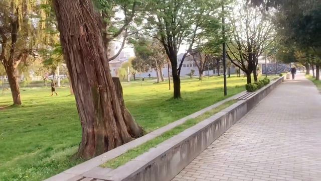 Батуми во время пандемии. О распределении больных и снятии карантина смотреть онлайн