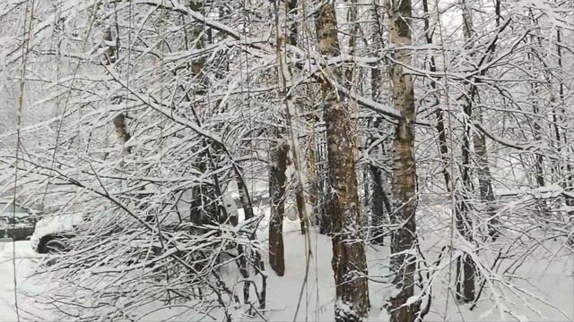 Протвино зимой