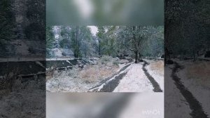 Заметай... Шляпники Зима..