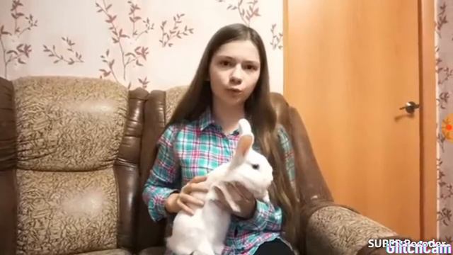 Непета страшилки луна не знает пути смотреть онлайн