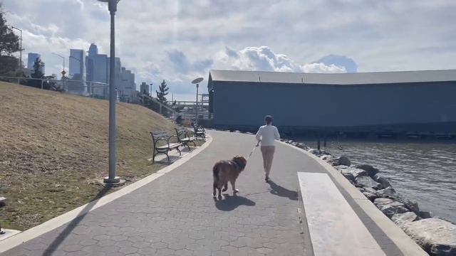 Прогулка по Нью Йорку / Манхэттан 2023 / Walkthrough New York - Walking Manhattan 2023 смотреть онлайн