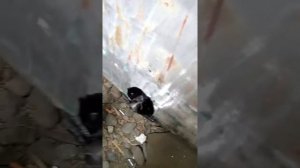 Лодка «Воронеж» сливное для помпы