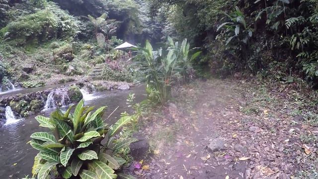 БАЛИ пешком на водопад Banyu Wana Amertha Waterfall Bali Indonesia 03/2023 смотреть онлайн