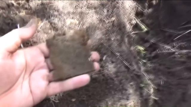 Такой шурф встречается 1 из 100, камрады заслужили! смотреть онлайн