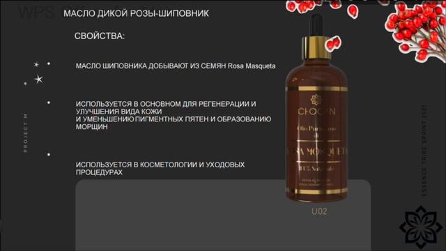 Обучение по миру масел. Часть1 смотреть онлайн