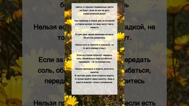 Редкие бабушкины приметы смотреть онлайн