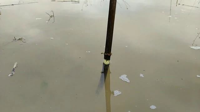 Пруд в глине без гидроизоляции. Сколько воды уходит в глину? смотреть онлайн