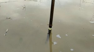 Пруд в глине без гидроизоляции. Сколько воды уходит в глину?