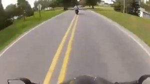 Стану птицей вольной