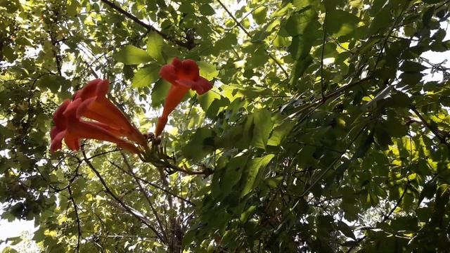 СоПрикосновение смотреть онлайн