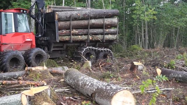 Valmet 840.3 logging in rainy summer forest, big load смотреть онлайн