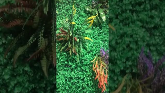 DIY GREEN WALL with Beautiful Plants смотреть онлайн