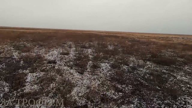 ОХОТА НА ЗАЙЦА ПЕРВЫЙ СНЕГ ОН ТРУДНЫЙ САМЫЙ