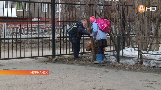 История бездомной городской собаки на защиту которой встали жители двора смотреть онлайн