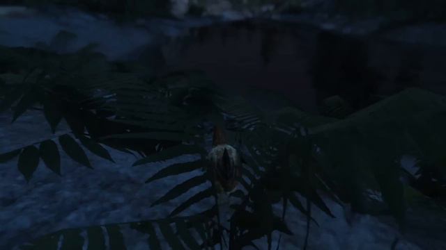 GTA 5 - Как Играть за Животных? (Лофофоры) #10 смотреть онлайн