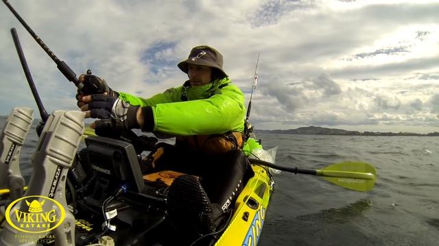 Kayak Fishing Report Whangarei Heads, NZ | Viking Kayaks
