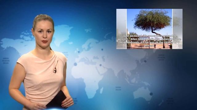 If a Tree Is Felled in Phoenix, Will the City Council React? смотреть онлайн