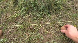 Как посадить картошку НЕ КОПАЯ землю, НЕ ОКУЧИВАЯ и вообще никак НЕ УХАЖИВАЯ за ней. Новый способ!