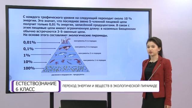 Естествознание. 6 класс. Переход энергии и веществ в экологической пирамиде /02.04.2021/ смотреть онлайн