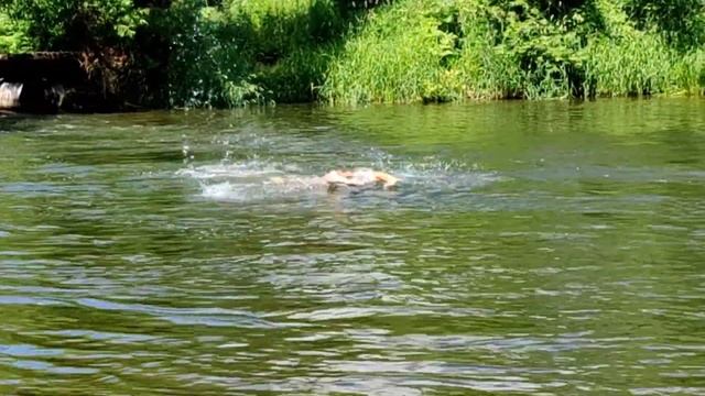 26 июня 2022, ДЕНЬ МОЛОДЁЖИ!